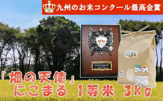 【南関町から九州一の栄冠に輝いた】「第2回九州のお米食味コンクール」の最高金賞 受賞！