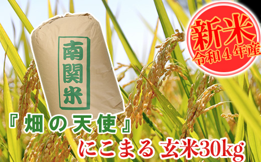 九州一の栄冠に輝いた農家が作る! 『畑の天使』にこまる 玄米30kg 