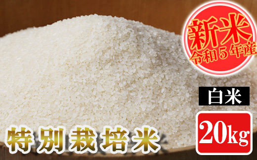 旧 【令和5年産】特別栽培米 白米 20kg