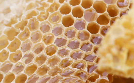 【H30年産新蜜】今年の蜂蜜の出荷が始まりました。